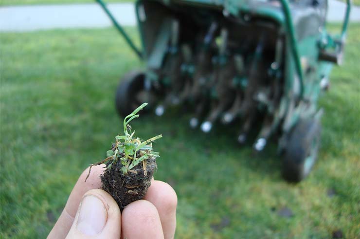 Can You Aerate In The Summer?