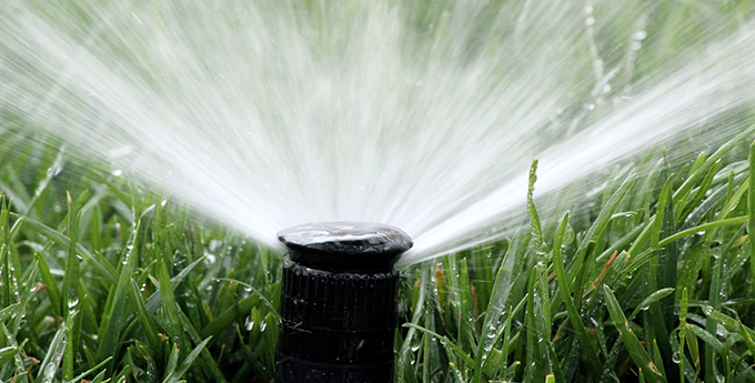 Learn Proper Watering Habits For A Healthy Lawn!