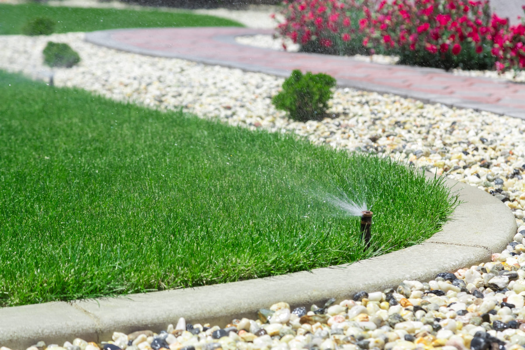 care for your lawn