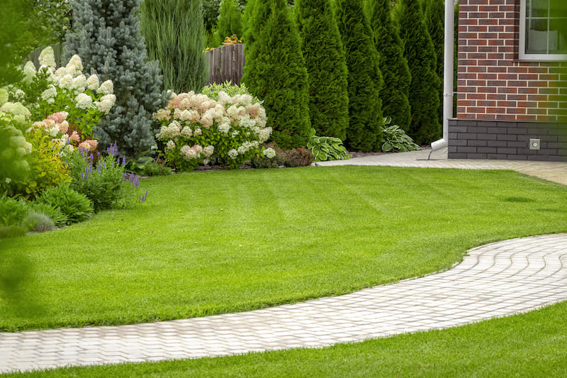 Love Your Lawn