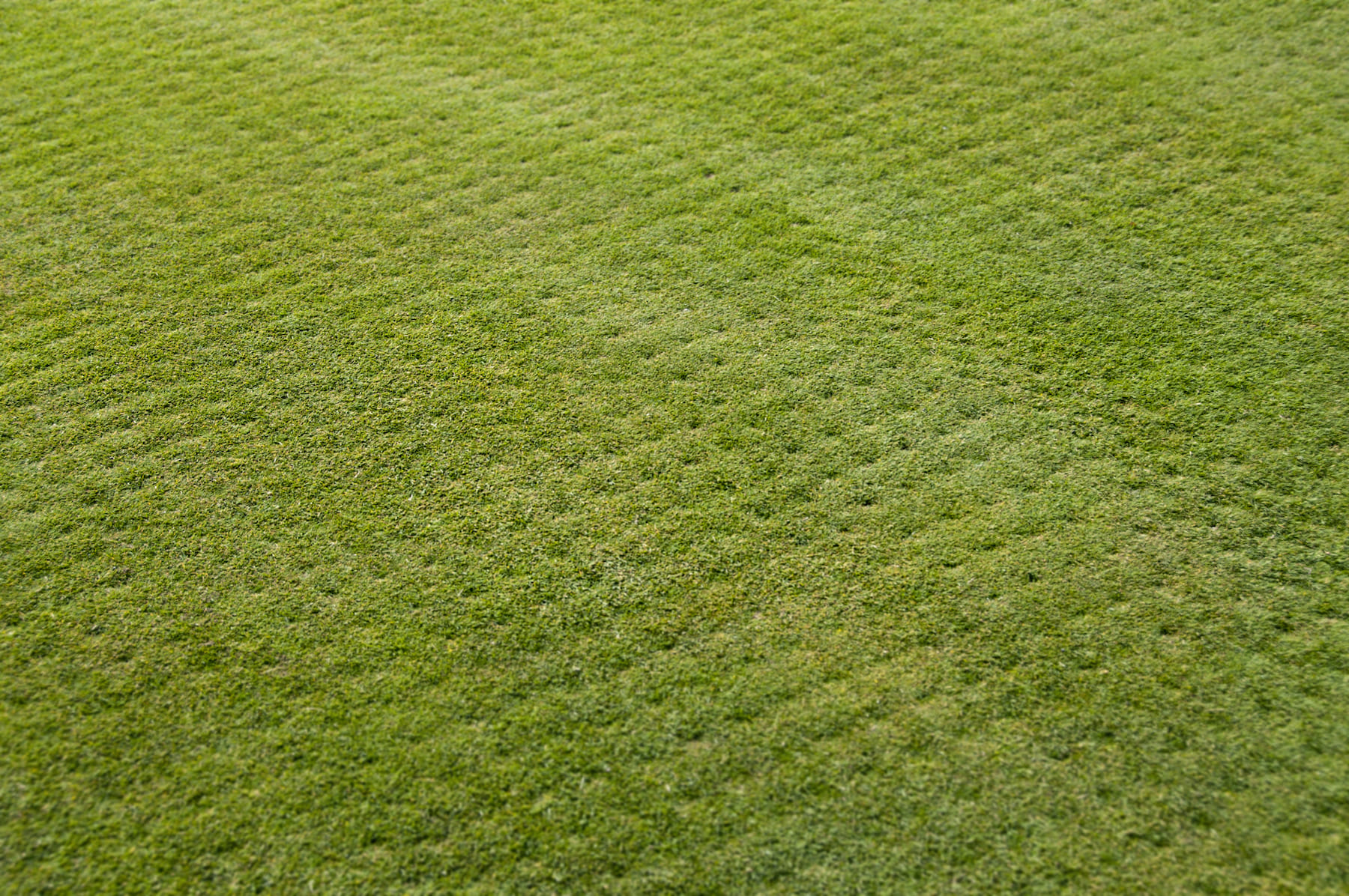 lawn aeration