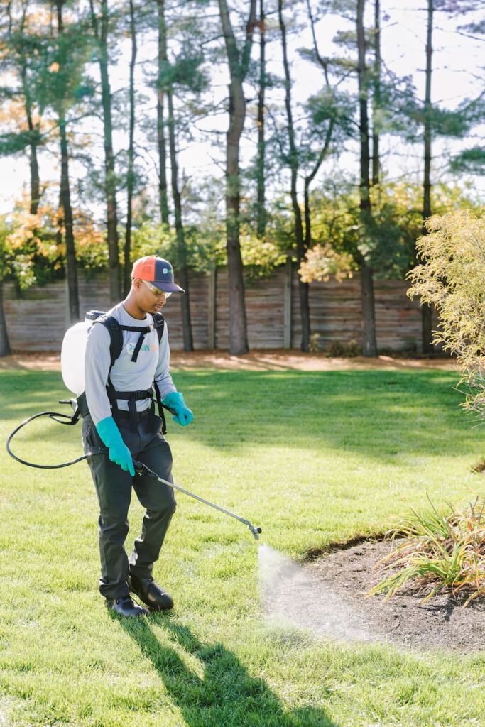 Lawn care technician with a backpack sprayer and gloves walking across a backyard lawn