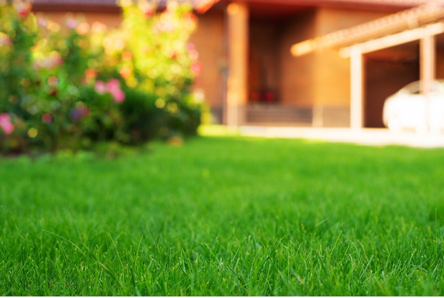 Well Cared for Lawn in Southeastern Massachusetts