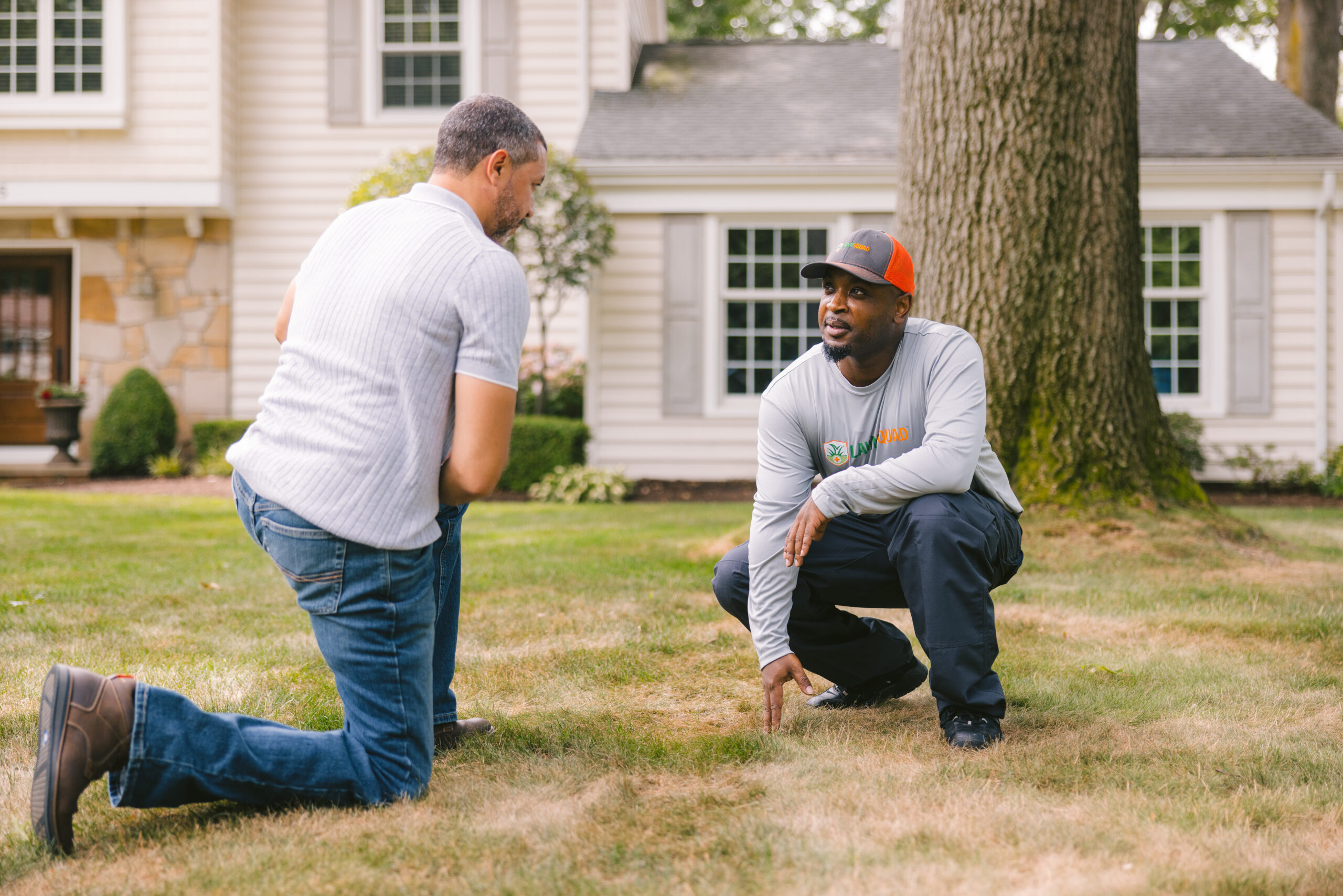 Explaining how a lawn will be brought back to life