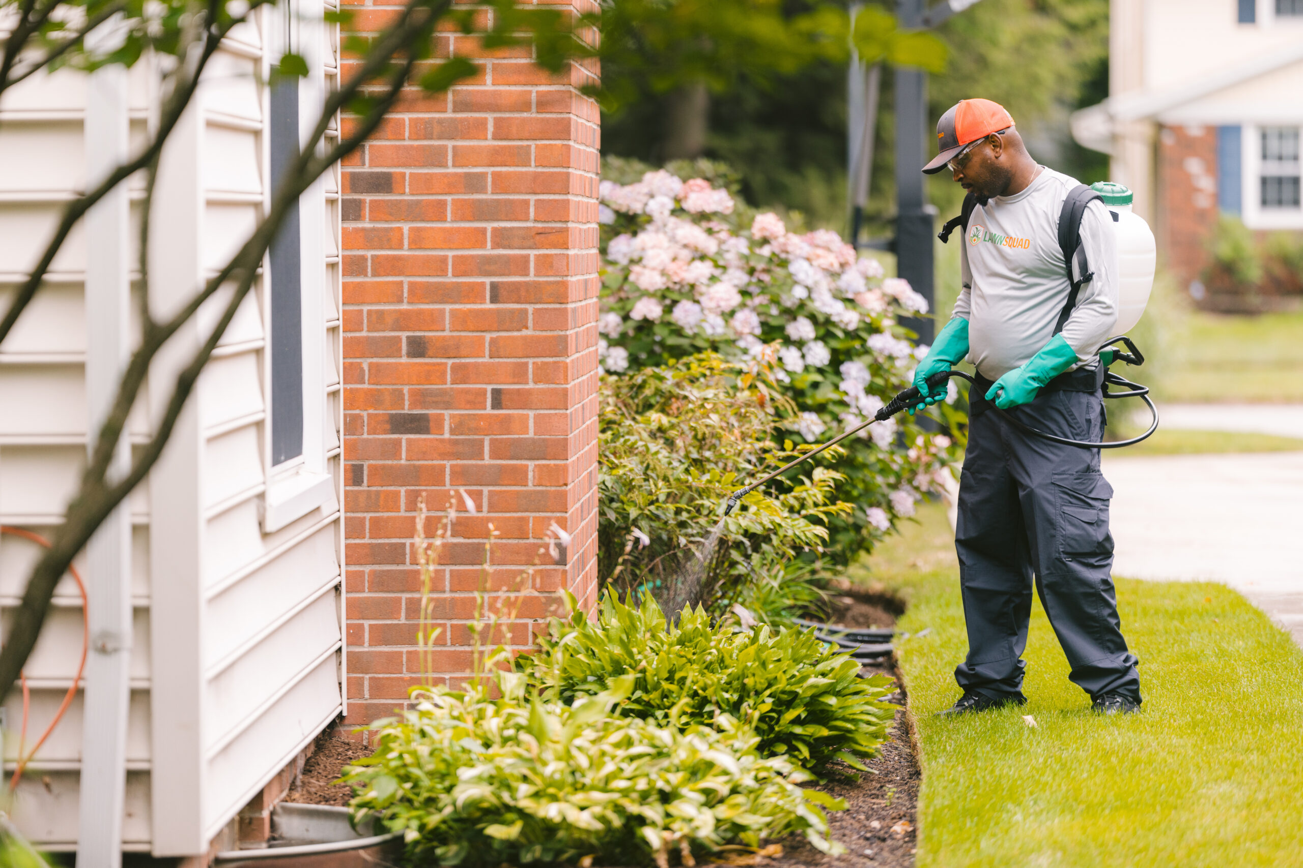 Lawn Squad spraying plants