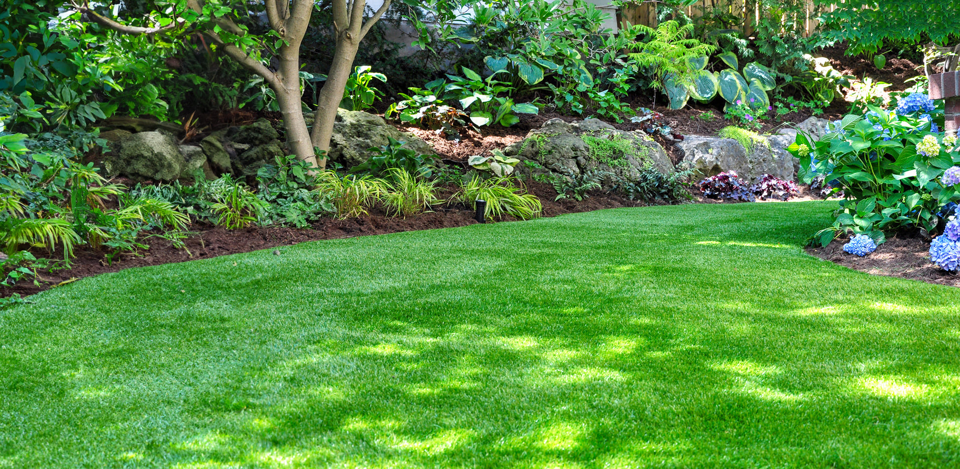 Lawn after Lawn Care Treatment by Lawn Squad