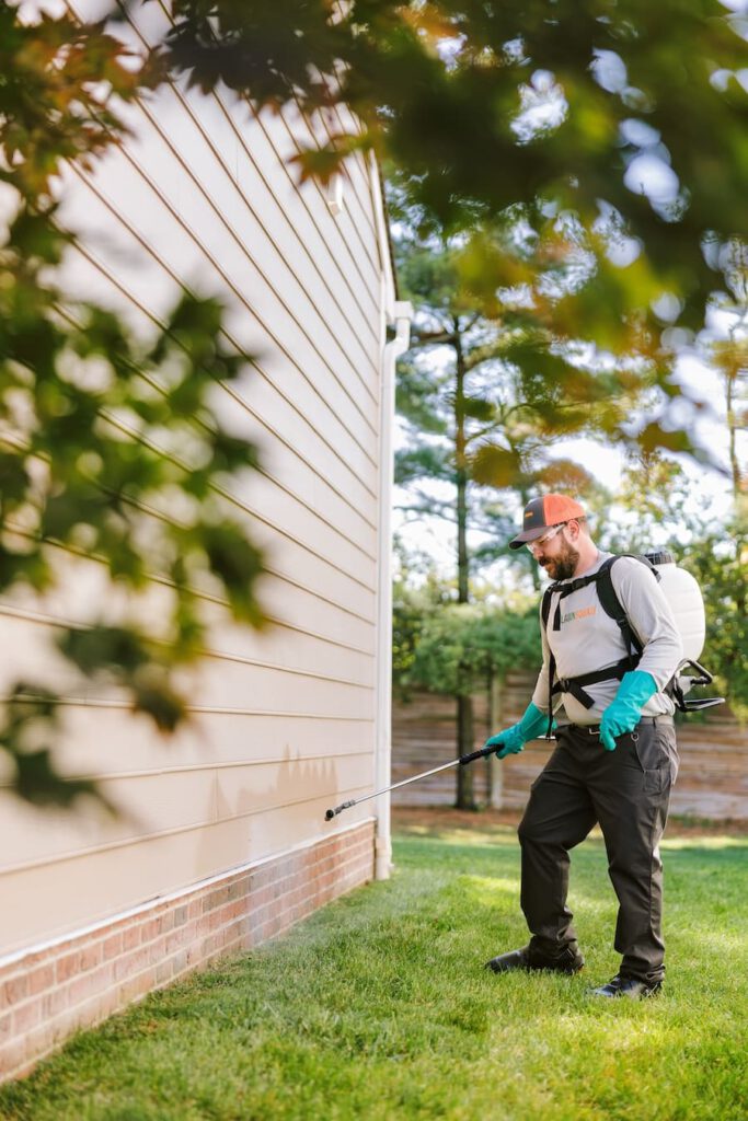 Treating a house for insects