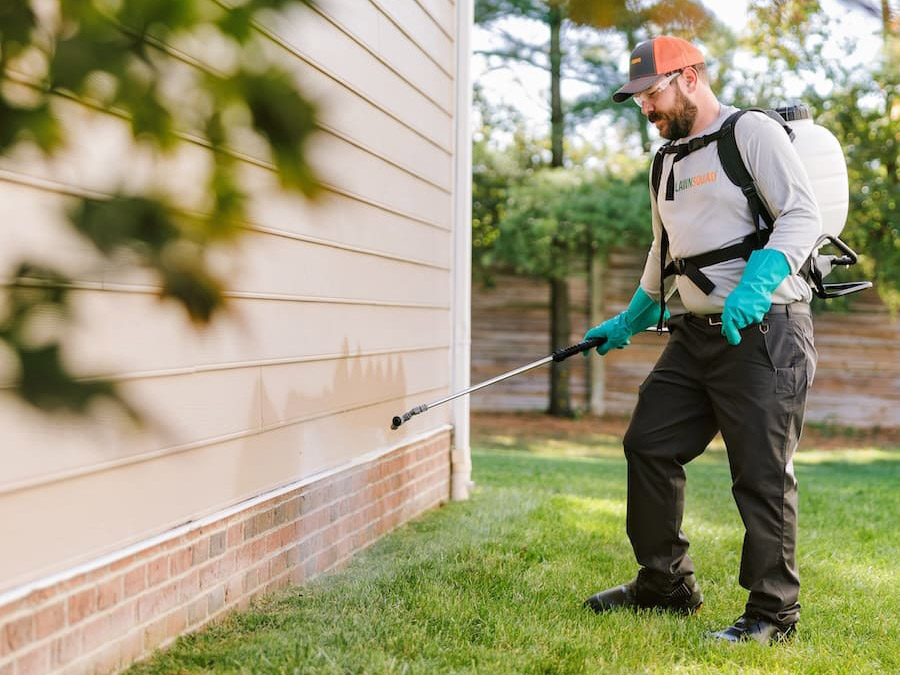 Lawn Care Pest Spray