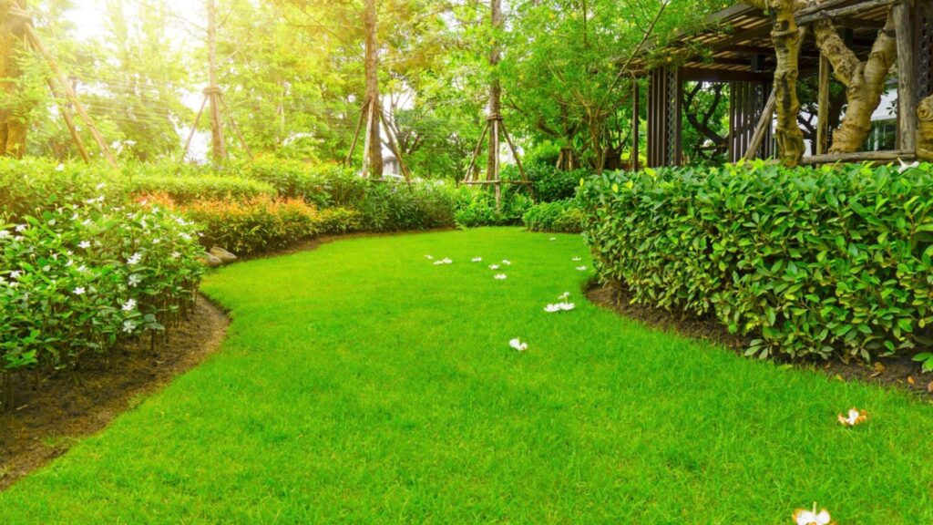 Middleborough Lawn Care