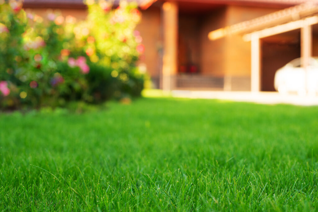 Frederick Lawn Care Service