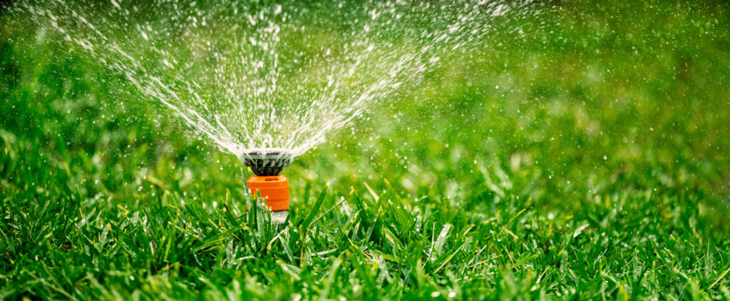 How to water your lawn.