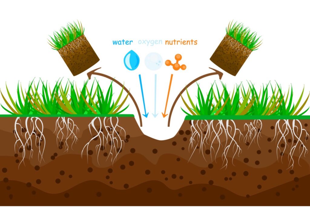 When And How Often Should I Core Aerate My Southeastern Massachusetts Lawn?