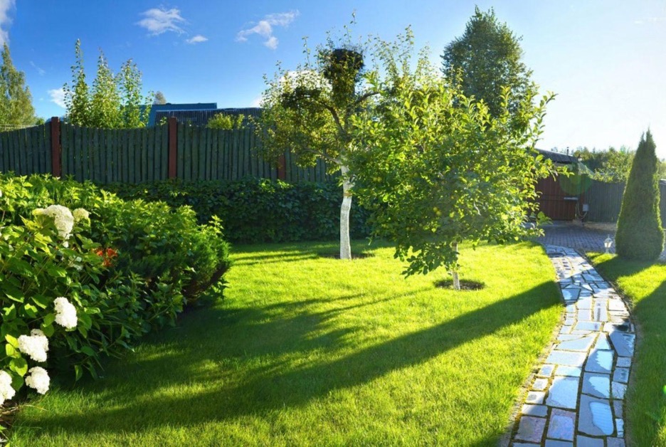 choosing a lawn care service
