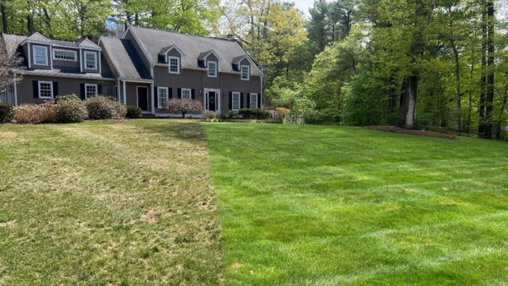 After Weed Control Service In Southeastern MA