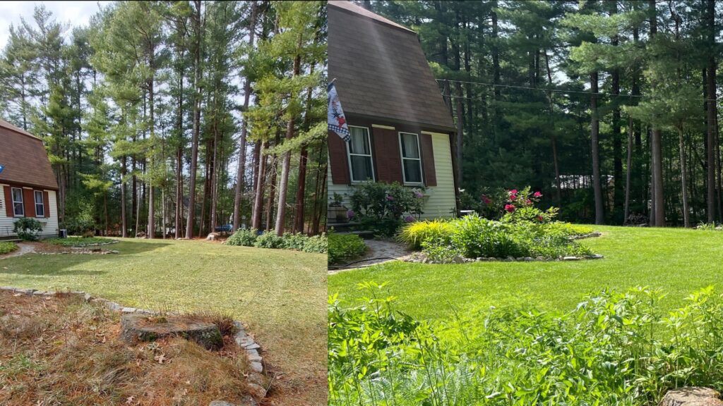 Weed Control Service In Southeastern MA