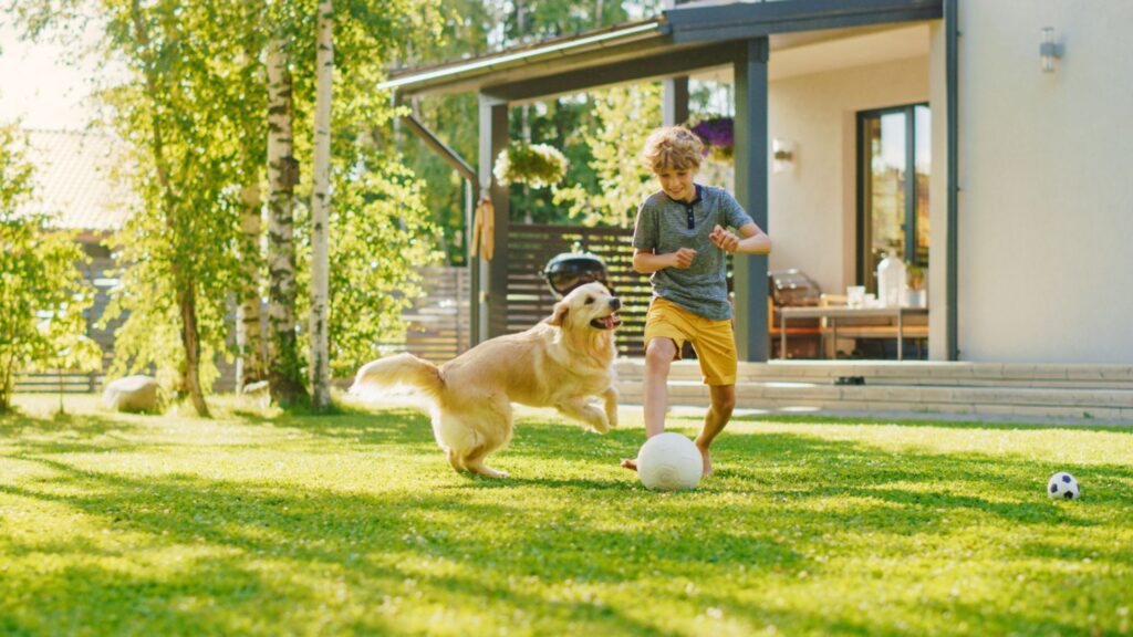 Local Massachusetts Lawn Care