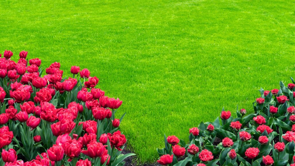 Details To Look For When Considering Massachusetts Lawn Care