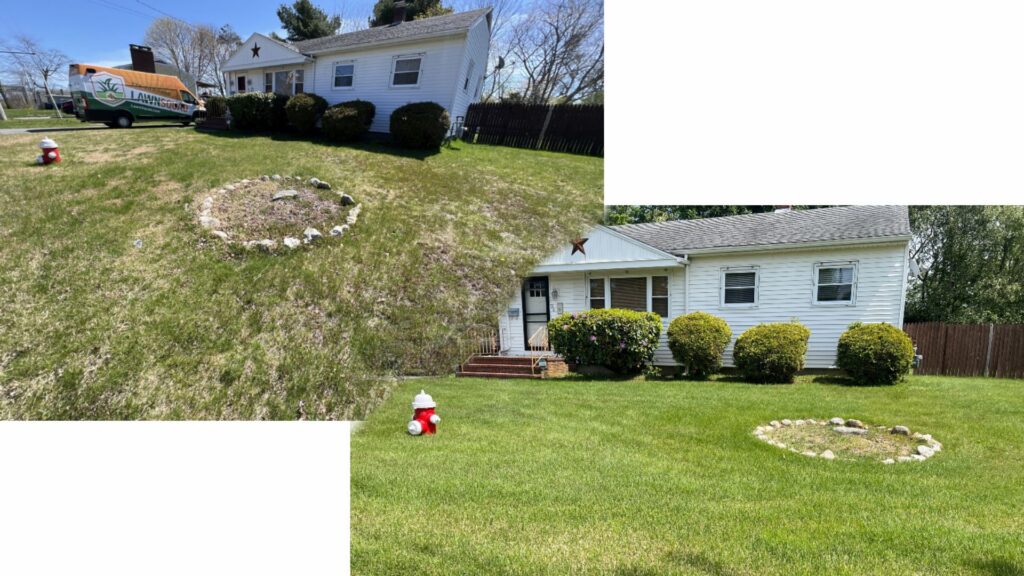 core and seed before and after