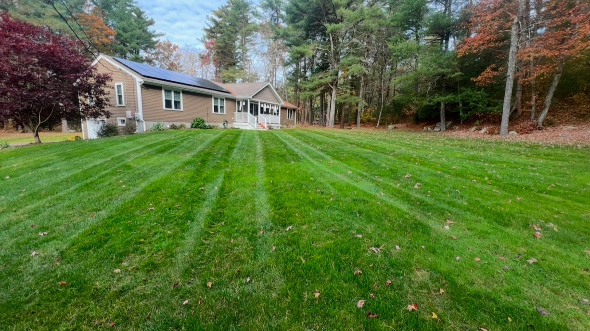 Freetown Core Aeration