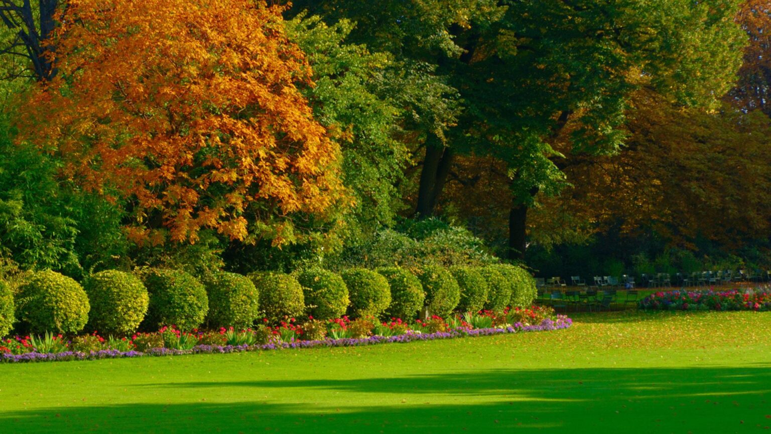 How To Keep Trees And Shrubs Healthy In Central & Eastern Massachusetts