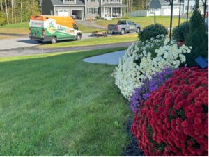 How Does Core Aeration Contribute To Successful Dartmouth Overseeding?