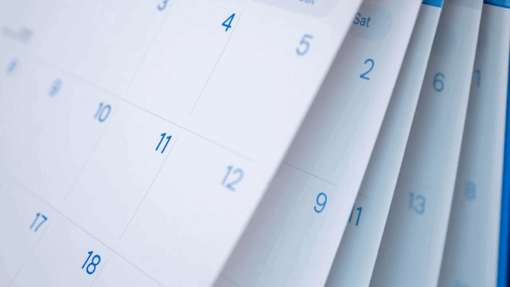 When Is the Best Time To Start a Lawn Care Service?