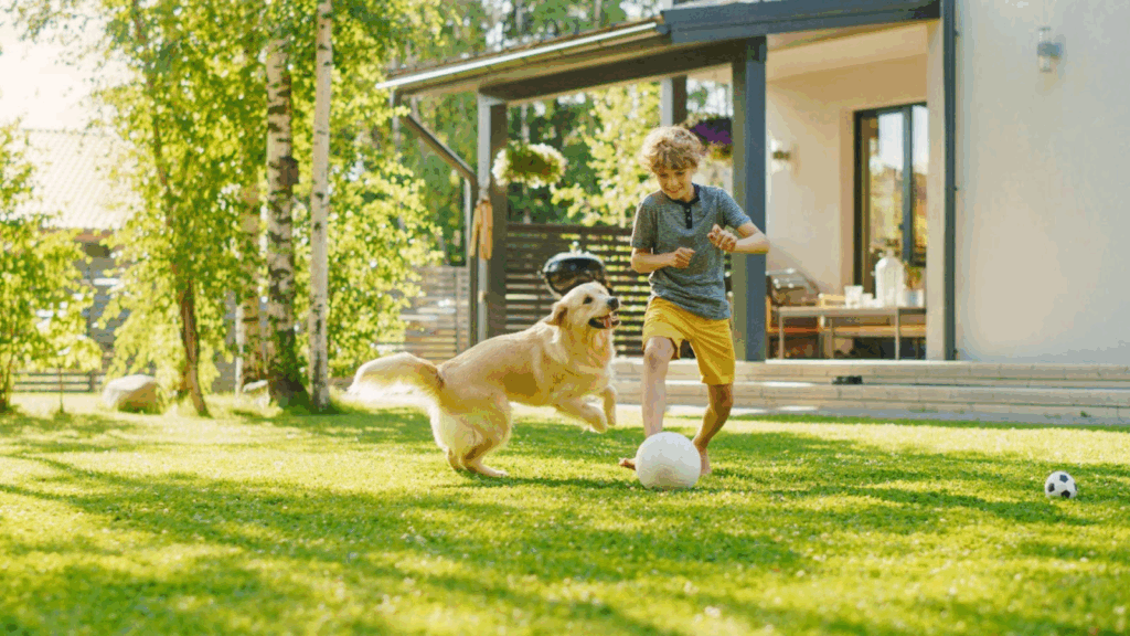 The Benefits Of Lawn Care Service vs. DIY Lawn Care