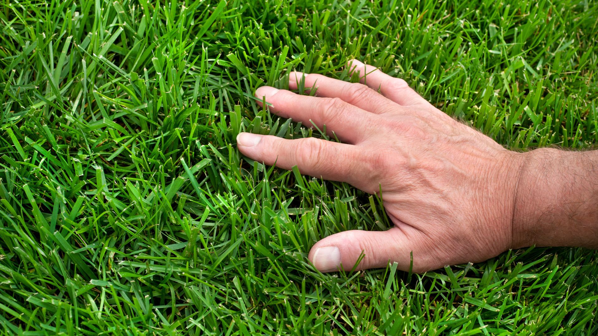 Lawn care Bridgewater MA