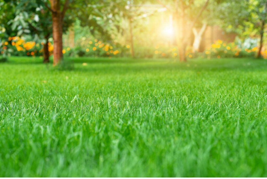 lawn service in Freetown MA