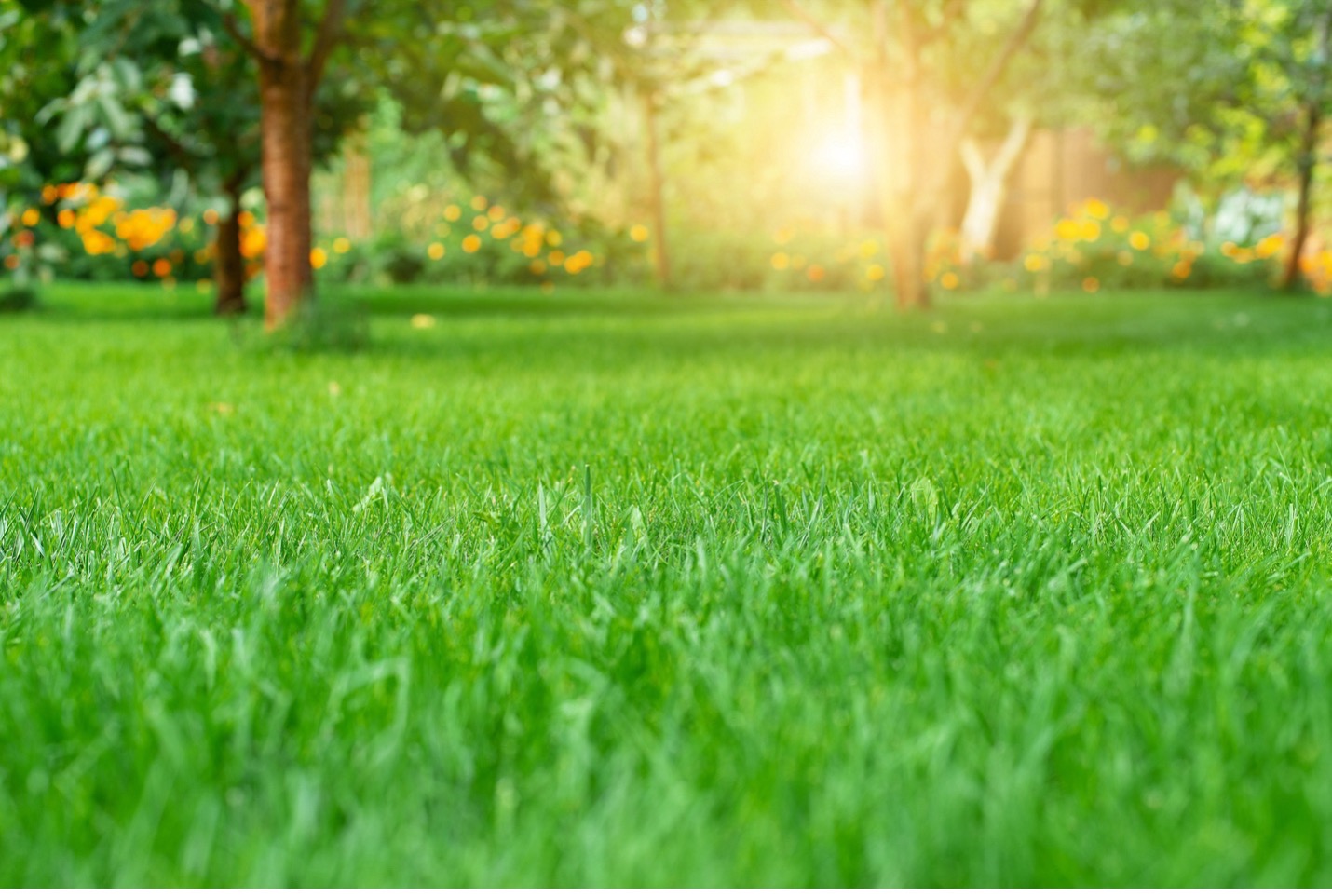 lawn service in Freetown MA