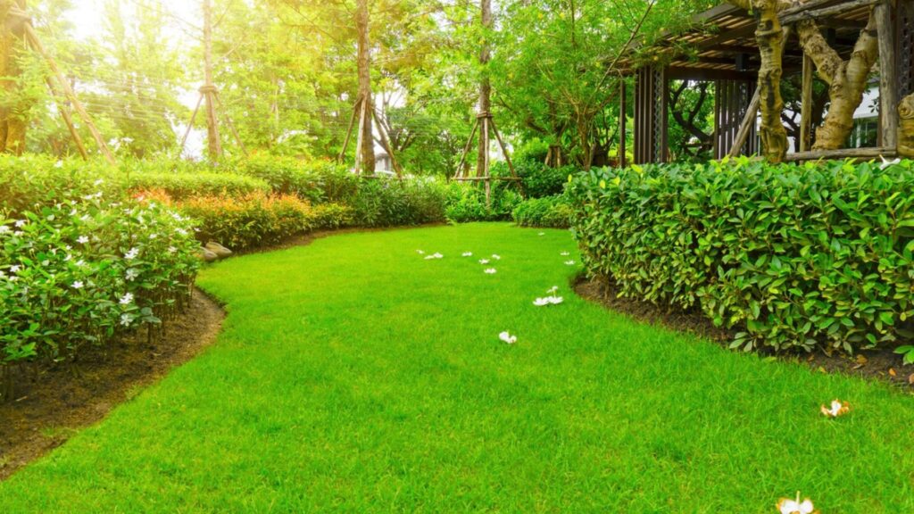 lawn care services in Hingham MA