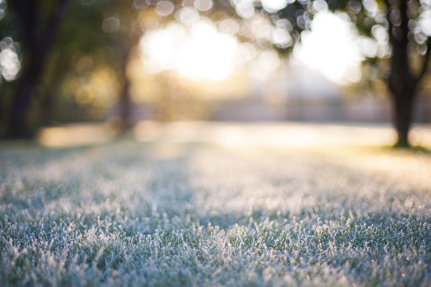 How To Winterize Your Southeastern MA Lawn