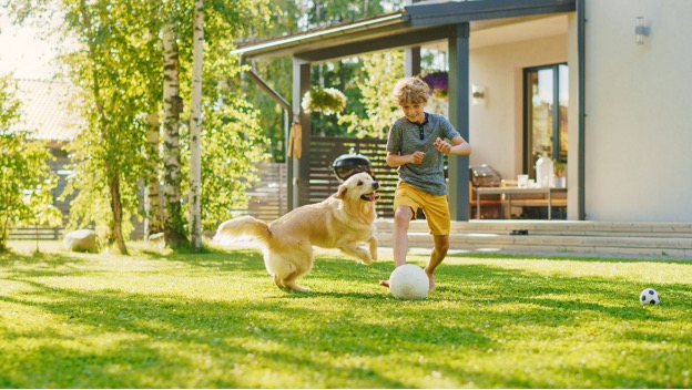 lawn care in mattapoisett