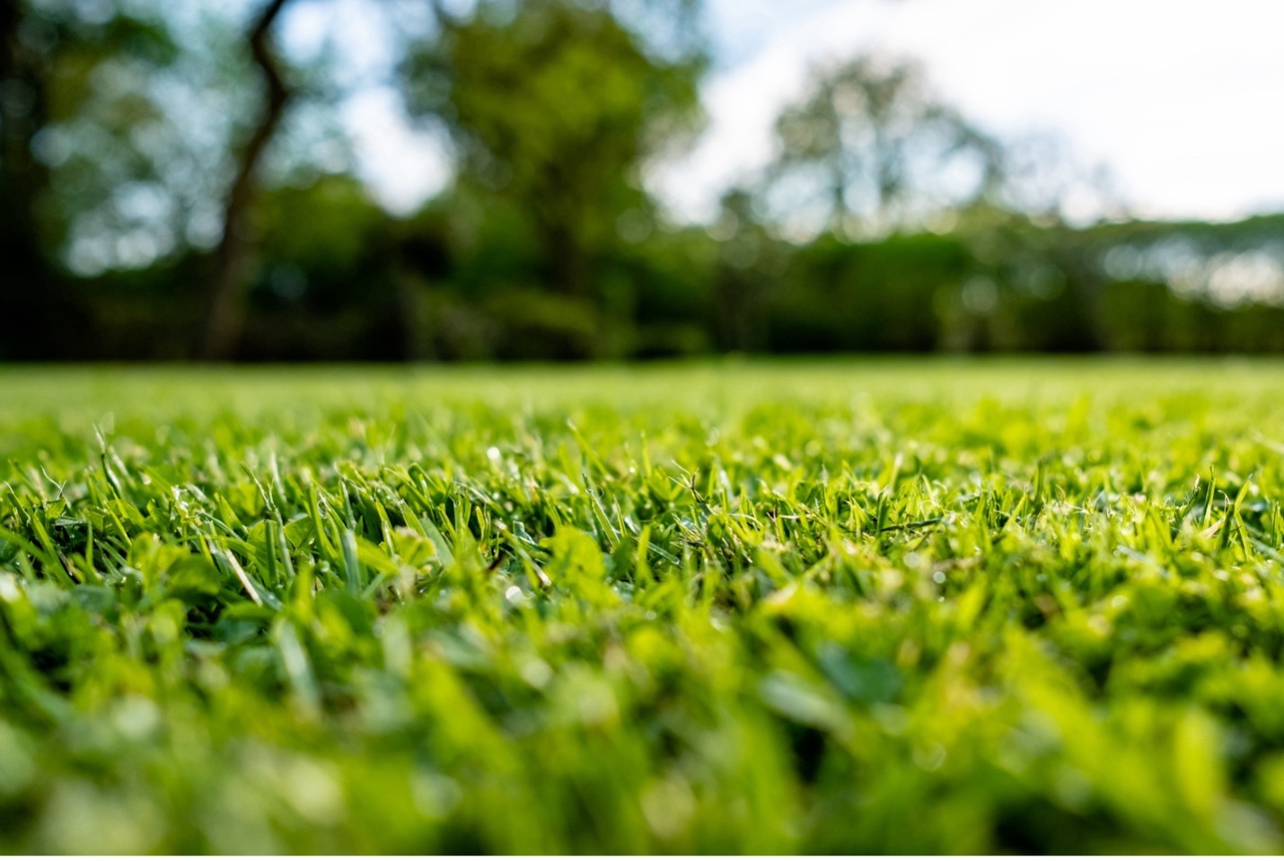 lawn care in new bedford ma