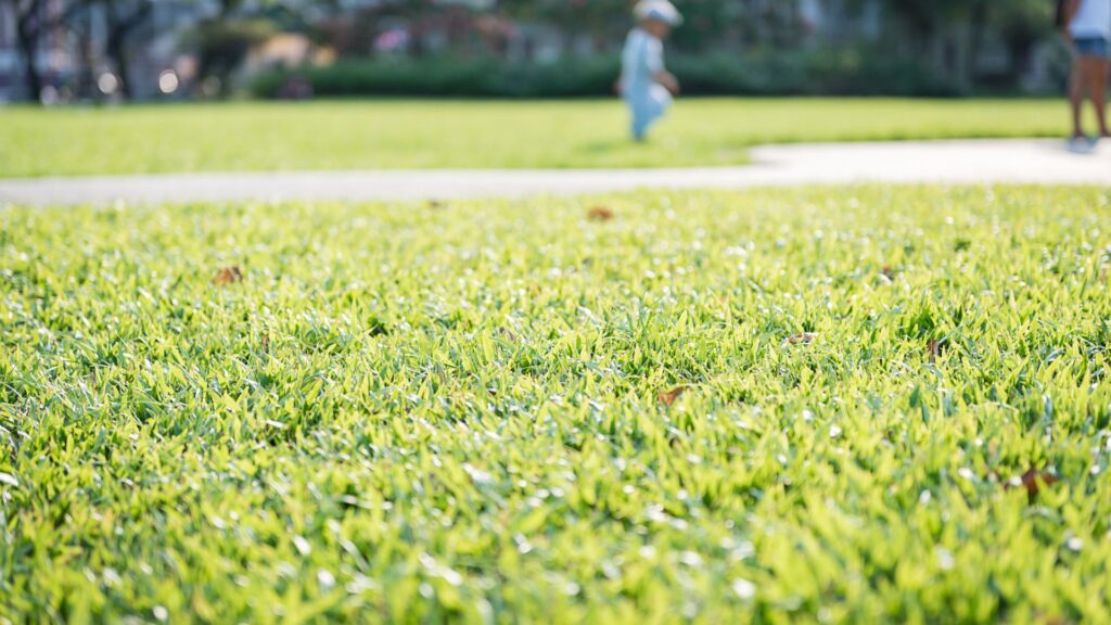 Lawn care results expectations