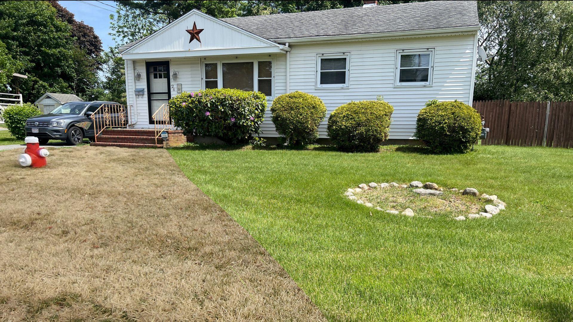 Before and after lawn care service