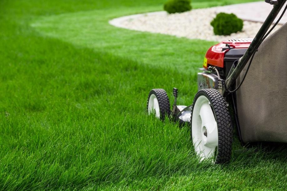 best practices for mowing your lawn