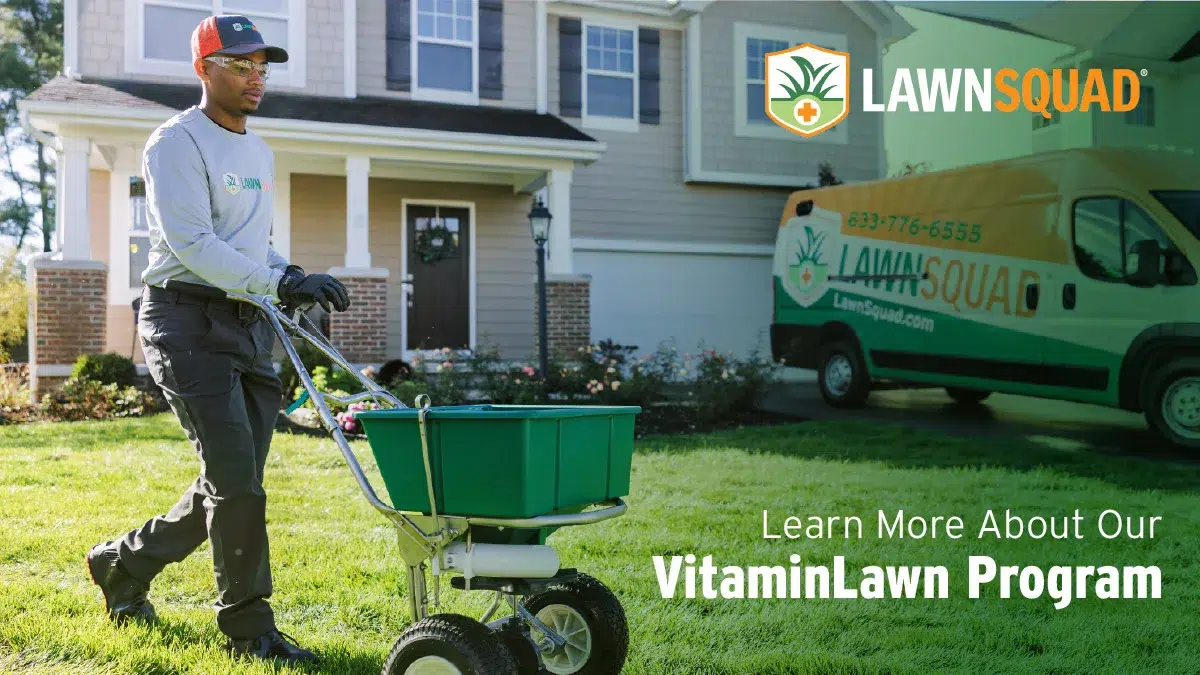 Lawn Squad of Birmingham