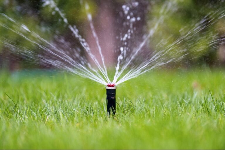 Sprinkler head spraying a fan of water over a green lawn