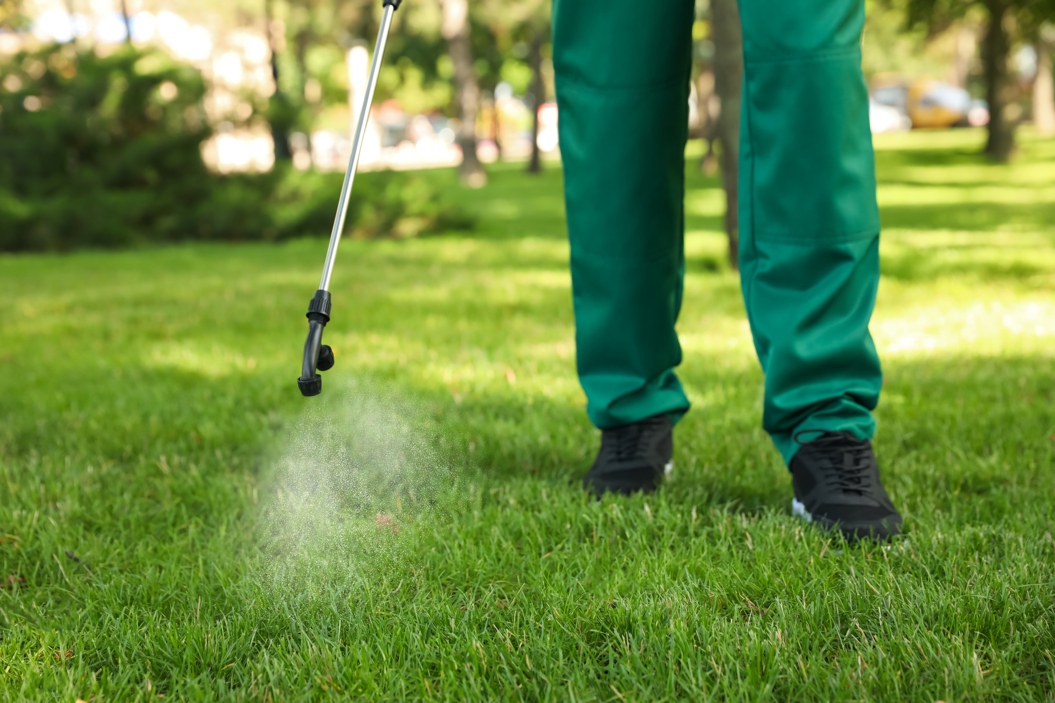 Lawn Spray Service in Southeastern Massachusetts: Why All Spray Isn't the Best Fit for Your Yard