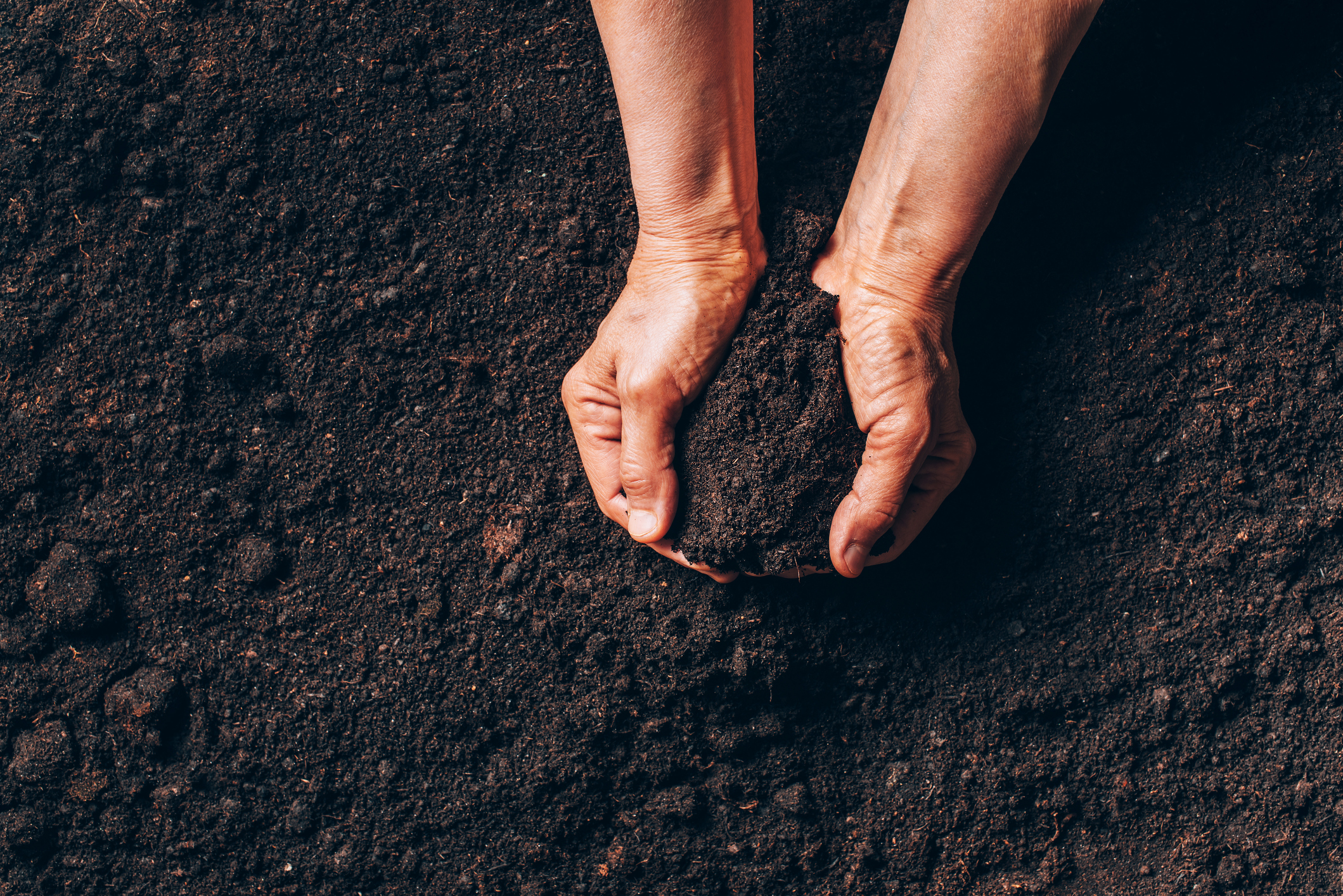 Soil enhancements are important